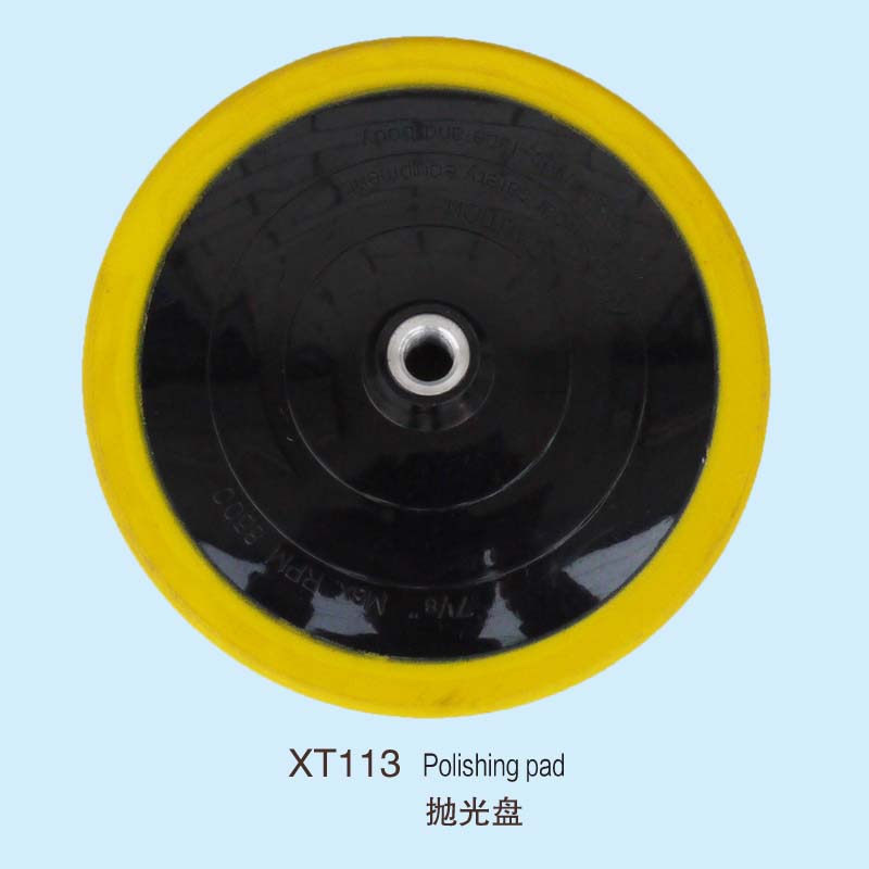 XT113 Polishing disc