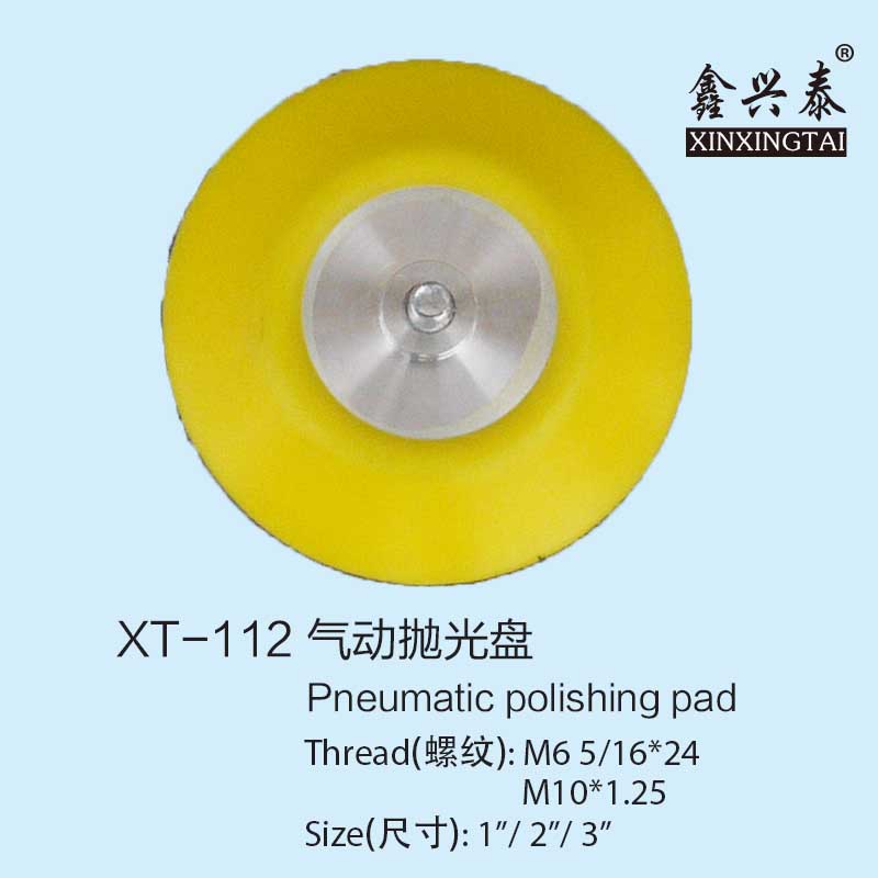 XT112 Polishing disc